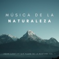 Sonido De Lluvia: Sonido Asmr Para La Meditación