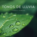 Atmósferas de Lluvia、Música para el Trabajo、Música para Oficinas Musica De Fondo - Arroyos Y Lluvia