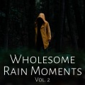 Wholesome Rain Moments Vol. 2