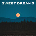 relax tunes、amazing Spa Experience、Relaxing BGM Project - Sounds To Rest
