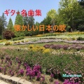 茶屋萬衛門 - 宵待草