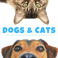 Dogs & Cats: Relaxing Sounds Of The River For Your Dear Pets