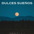 Musica Para Dormir、El Ruido Blanco、Musica para Dormir Radio - Dormir Toda La Noche