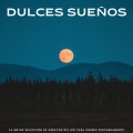 Musica relajante dormir、Música Para Dormir Rápido、Serenidad Academy - El Ambiente Ideal De La Selva Tropical
