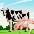 La Vaca Lola, La Vaca Lola