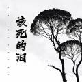 罗言 - 该死的泪