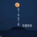 铁锤妹妹 - 忘了你忘了我