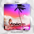 Papa Tin、The Bestseller - Voice Escape (Ivan Summer Remix)