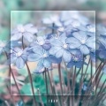 찬 - 또 한걸음