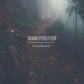 Adam Sterlitzer - Sweet Love