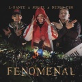 Fenomenal