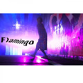 浅葱喵asagiinyo - flamingo