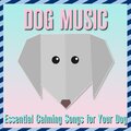Relaxmydog、Dog Music、Dog Sleep Dreams - Soft Violin