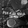 Lipa DJ - Perreo Nokia TikTok