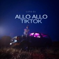 Lipa DJ - Allo Allo TikTok (Remix)