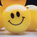 Paul S - Happiness