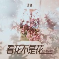 看花不是花 (DJ R7版)