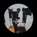 YVS - TLF
