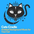 Cat Music Therapy - Little Tigers