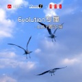 Evolution专属