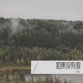 知还 - 小情歌