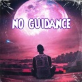 No Guidance