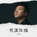 龙江辉 - 荒漠玫瑰