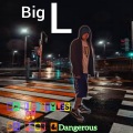 Da Lifestyles Ov da Poor & Dangerous (Explicit)