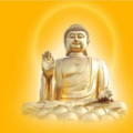 咖啡屋上的小喵 - 阿弥陀佛 女声 唱