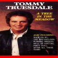 Tommy Truesdale、Dorman - Mountain of Love