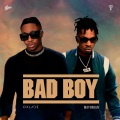 Bad Boy (Explicit)