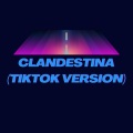 Clandestina (TikTok Version)(Remix)