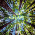 Soulsiiide、Lefa - False Profits (feat. Lefa)(Explicit)