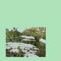 Garcon - Transparent