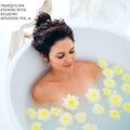Tranquil Spa Evening with Relaxing Melodies, Vol. 13