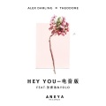 Hey you (Alex Darling remix)