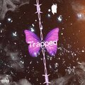 Trapped (Explicit)