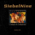 奈何 SiebelNine - 你的