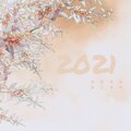 墨雪_Jiang - 煨酒忽忆旧关河