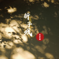 朱震颐 - 折子戏