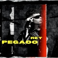 dj roman - PEGAOO RKT (Remix)