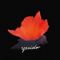 野西都 yesido - 野花朵