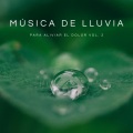Música De Lluvia Para Aliviar El Dolor Vol. 2