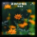 陈海涛 - 潇洒的走