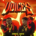 Voices (Explicit)