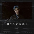 张天宇 - 泪如相思雨落下