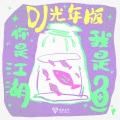 你是江湖我是鱼 (DJ光年版)