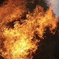 Molotov (Explicit)