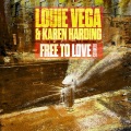 Free To Love (David Morales Disco Juice Vocal Mix)