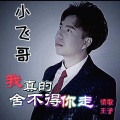 小飞哥 - 我真的舍不得你走